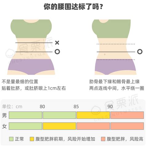 腰圍計算方式|腰圍換算: 腰圍怎麼量？挑選正確腰圍/臀圍的尺寸